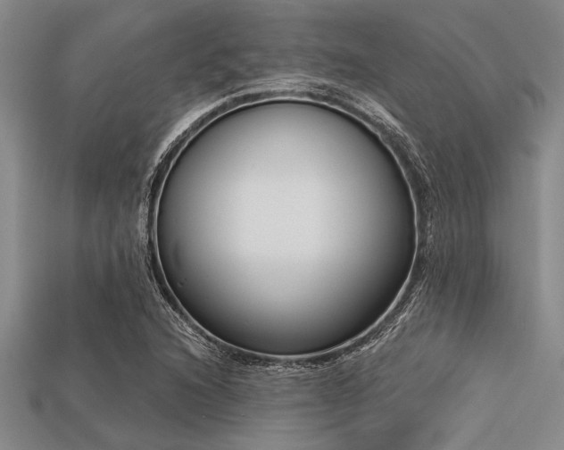 X0000113321216200909141348