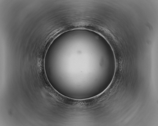 X0000113321217200909141348