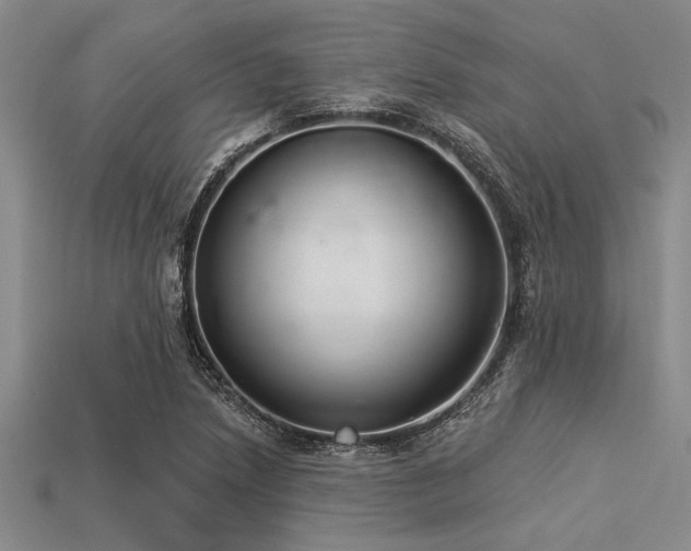 X0000113321218200909141348