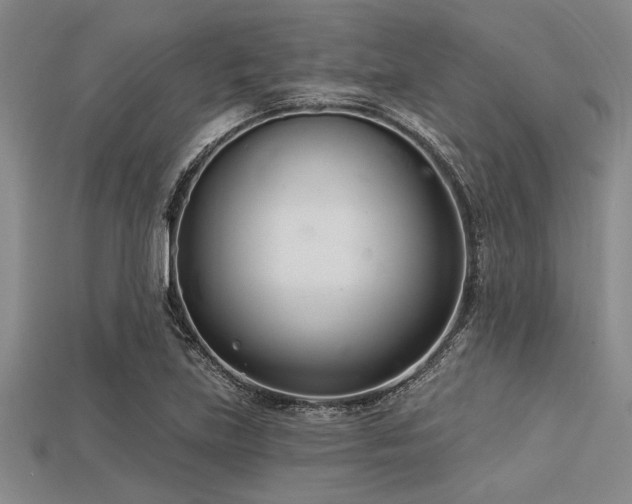 X0000113321219200909141348