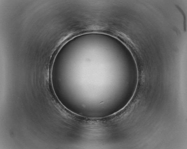 X0000113321220200909141348