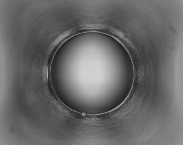 X0000113321221200909141348