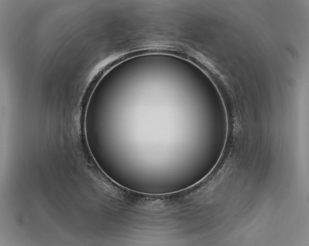 X0000113321222200909141348