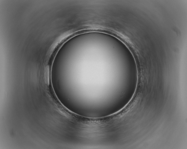 X0000113321223200909141348