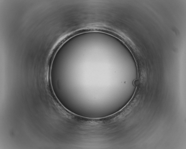 X0000113321224200909141348