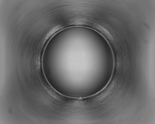 X0000113321226200909141348