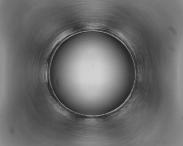 X0000113321227200909141348