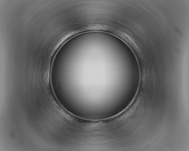X0000113321228200909141348
