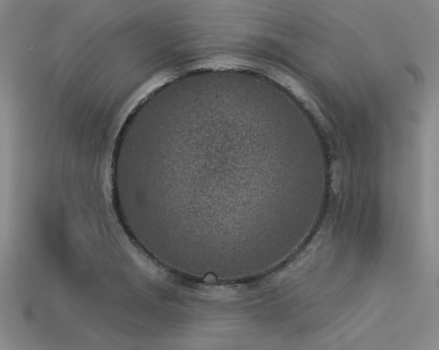 X0000113321229200909141348