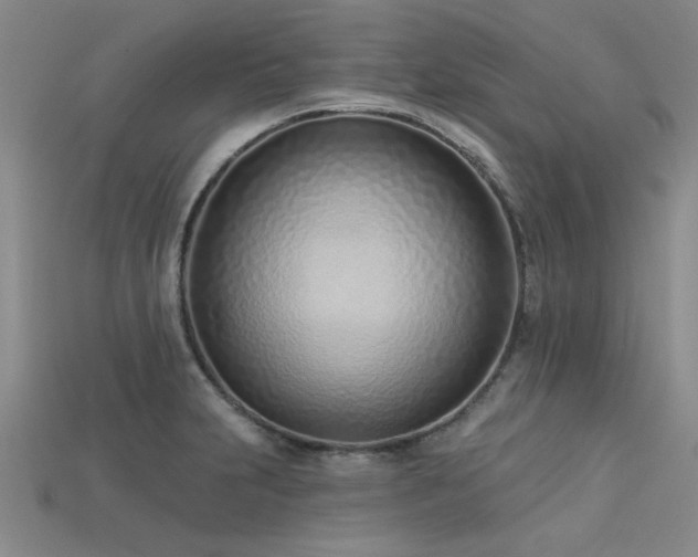 X0000113321231200909141348