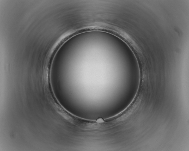 X0000113321232200909141348