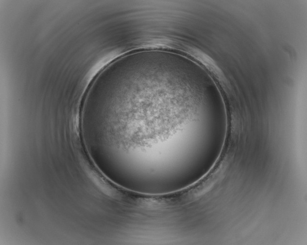 X0000113321234200909141348