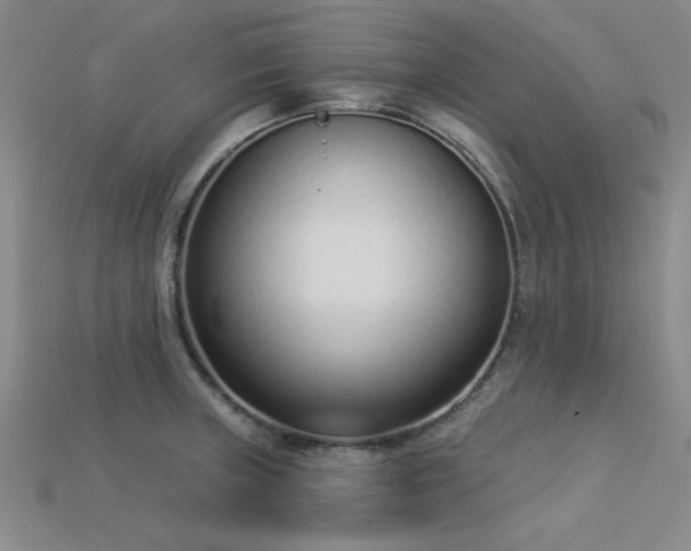 X0000113321235200909141348