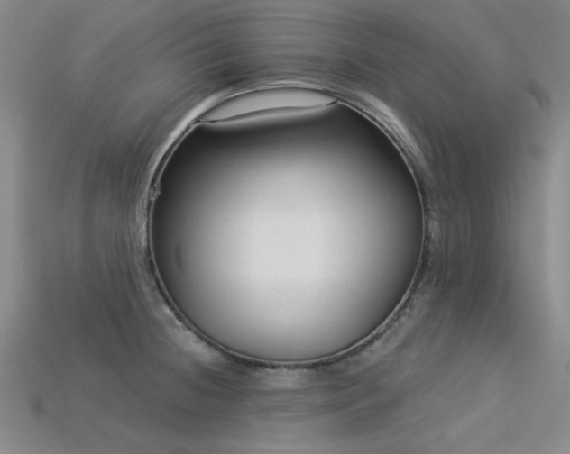 X0000113321236200909141348