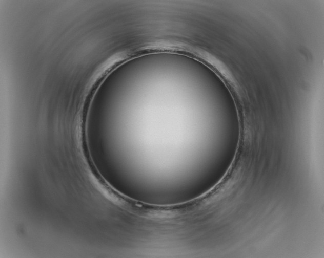 X0000113321237200909141348