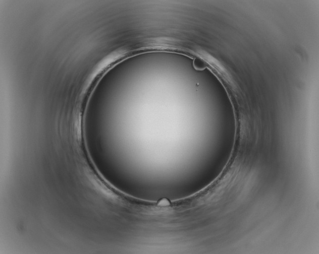 X0000113321238200909141348
