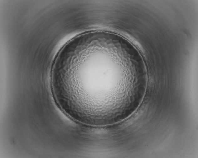 X0000113321239200909141348
