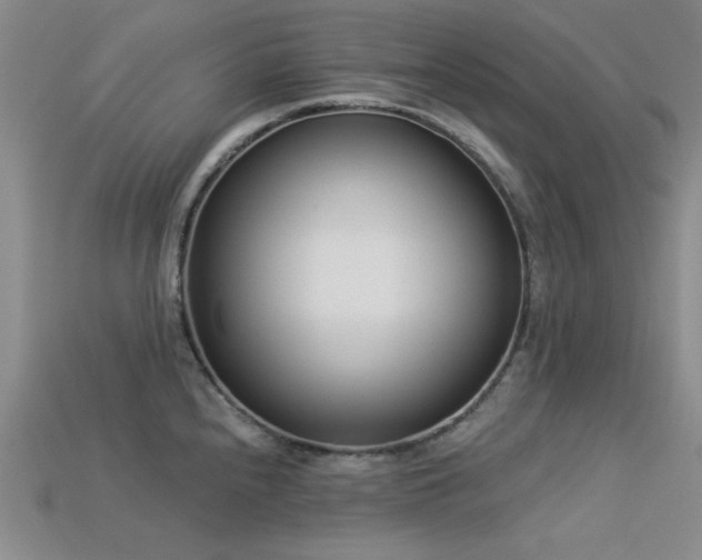 X0000113321240200909141348