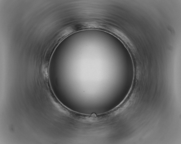 X0000113321241200909141348