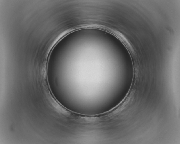 X0000113321244200909141348