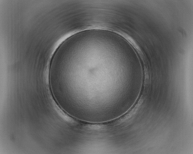 X0000113321246200909141348