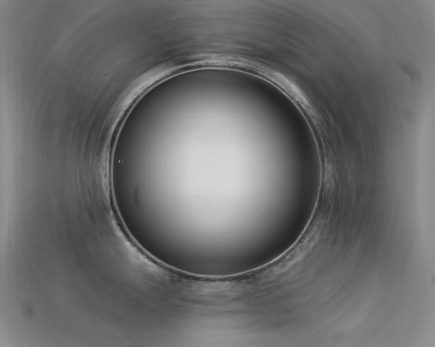X0000113321247200909141348