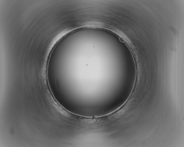 X0000113321248200909141348