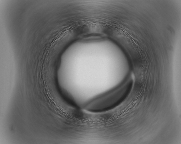 X0000113321249200909141348