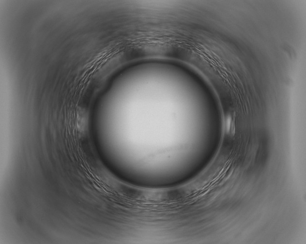 X0000113321251200909141348
