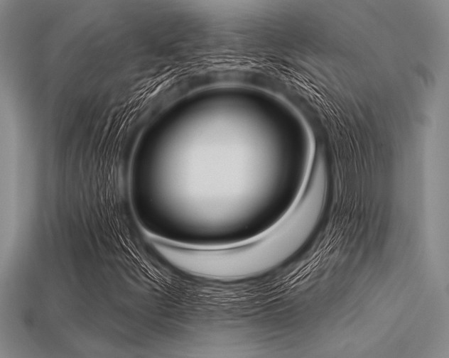 X0000113321252200909141348