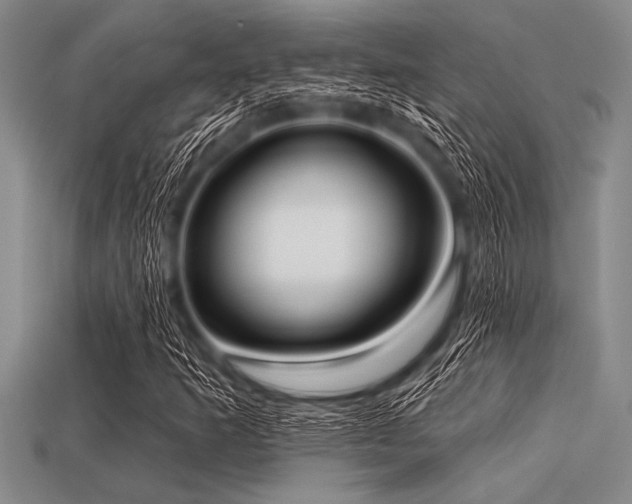 X0000113321253200909141348