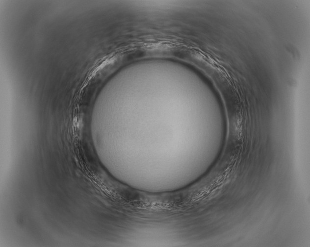 X0000113321254200909141348