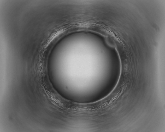 X0000113321256200909141348