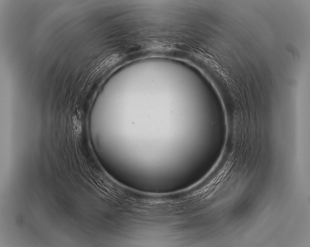 X0000113321257200909141348