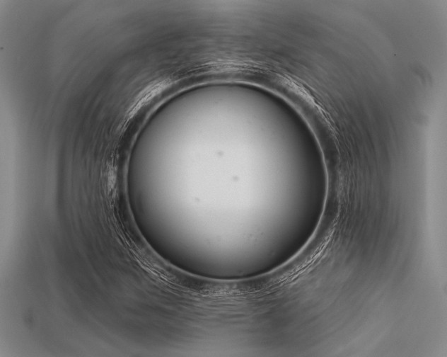 X0000113321259200909141348