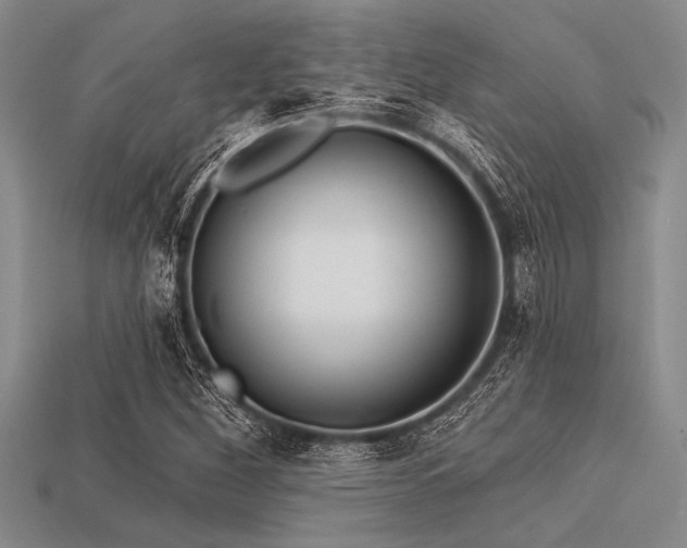 X0000113321260200909141348