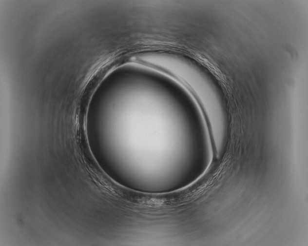 X0000113321261200909141348