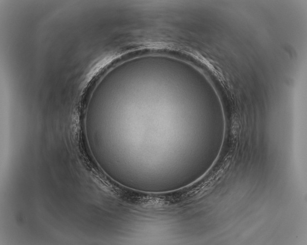 X0000113321263200909141348