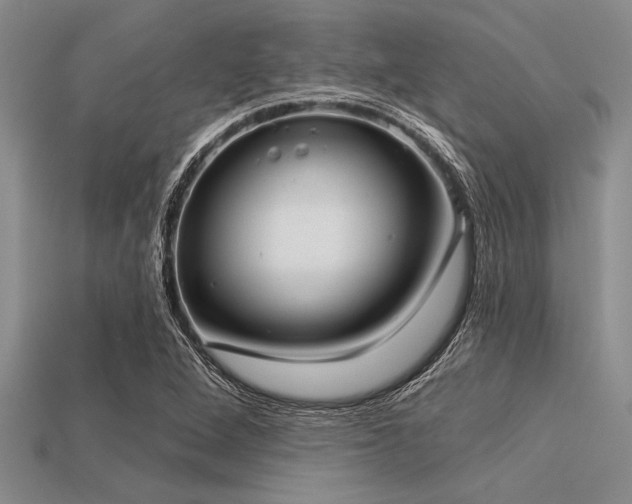 X0000113321264200909141348