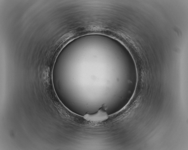 X0000113321265200909141348