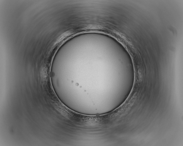 X0000113321266200909141348