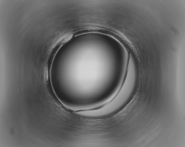 X0000113321269200909141348