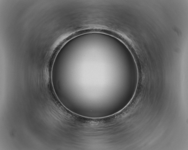 X0000113321271200909141348