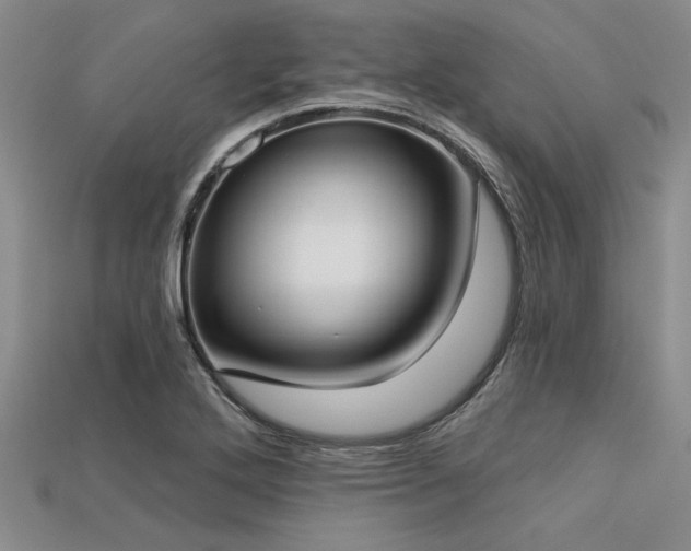 X0000113321272200909141348