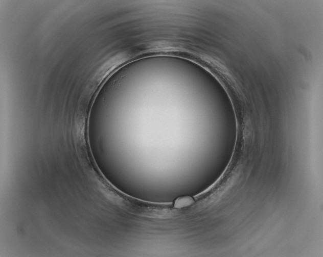 X0000113321273200909141348