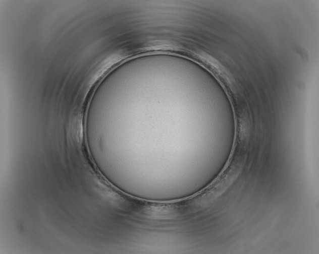 X0000113321274200909141348