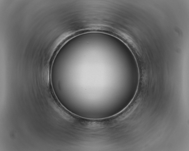 X0000113321275200909141348
