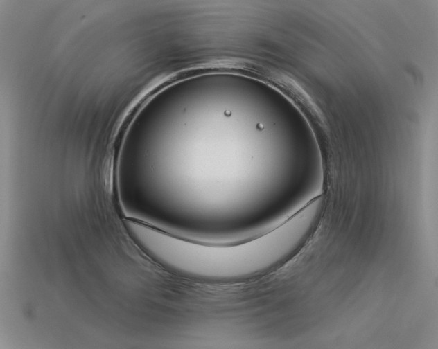 X0000113321276200909141348