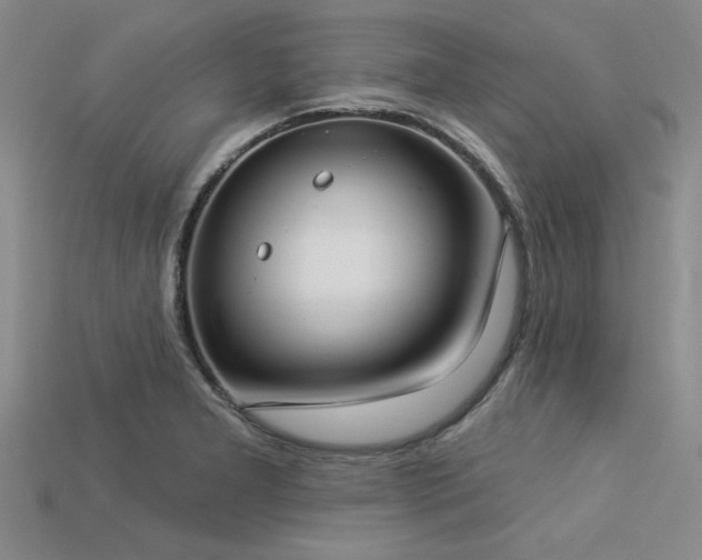 X0000113321277200909141348
