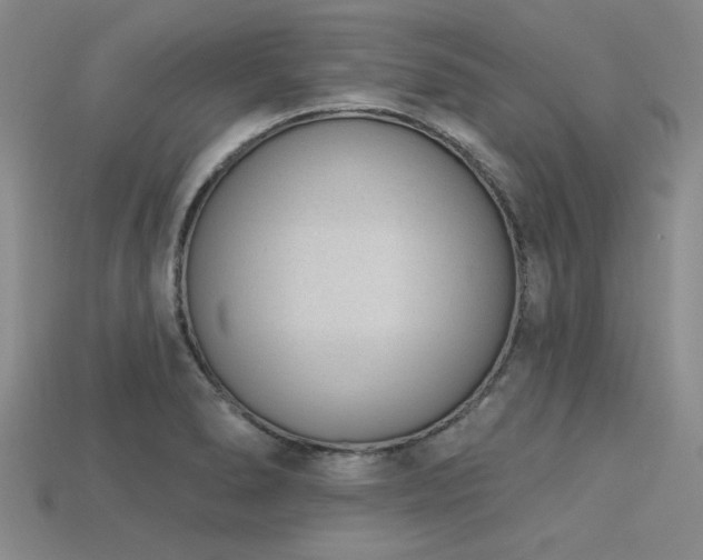X0000113321278200909141348